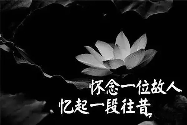 《怀念父亲逝世一周》文/林水火（福建）（图3）