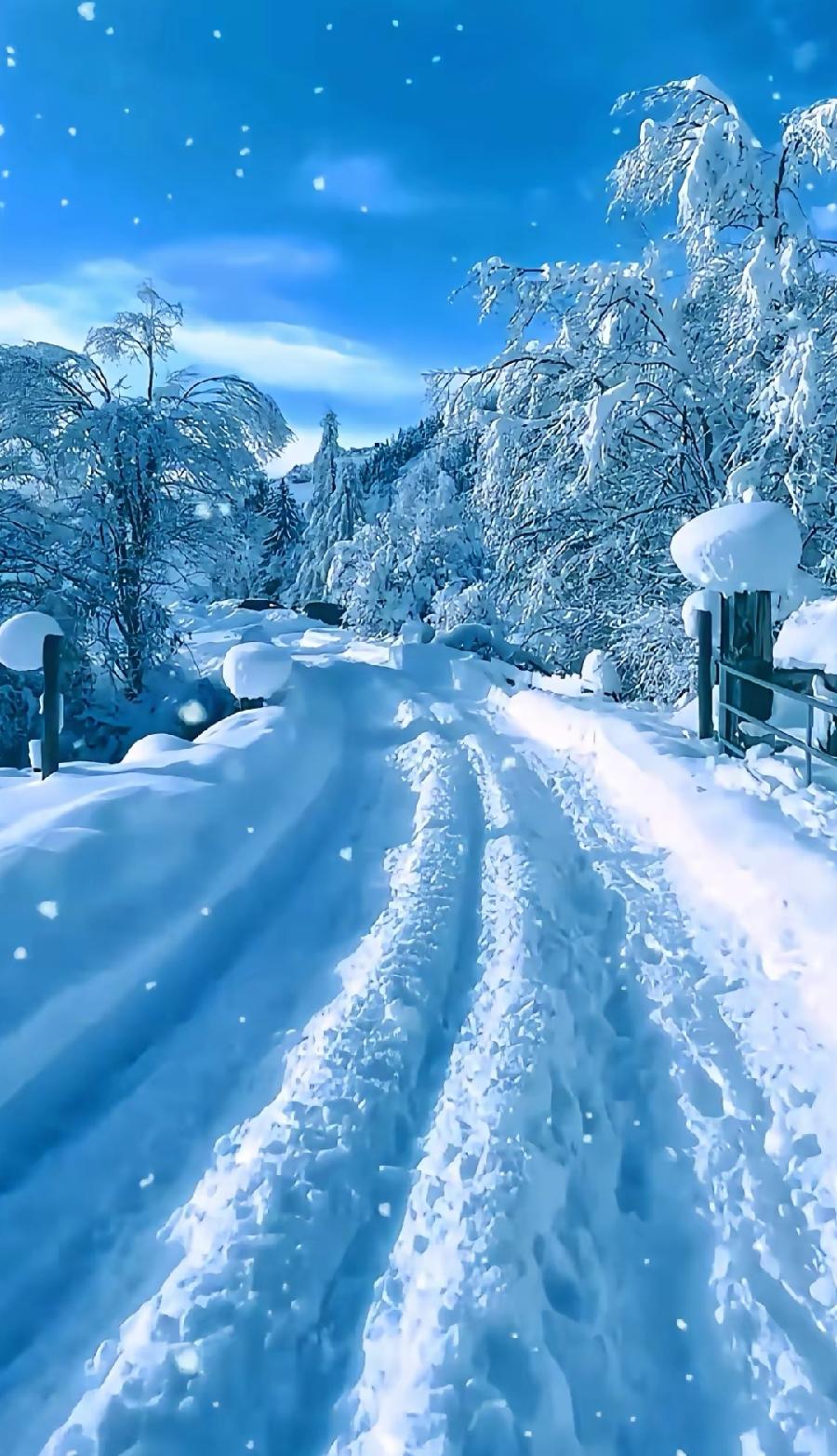 春绽雨雪吟怀(外一首)诗||于兴庆(图9)
