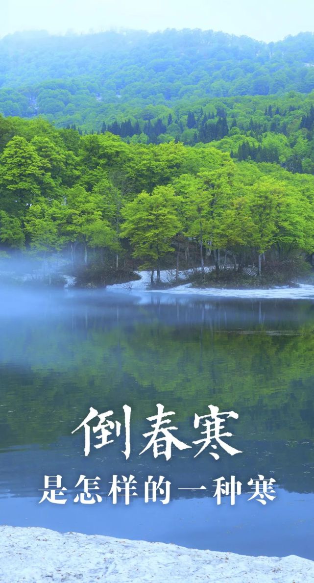 春绽雨雪吟怀(外一首)诗||于兴庆(图16)