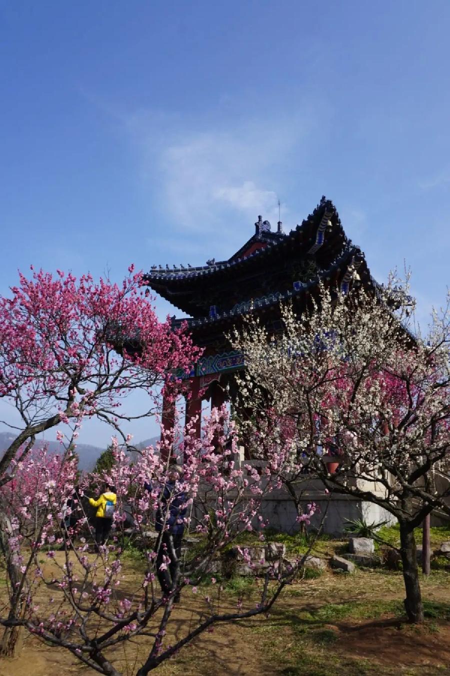 七律-正月十八日云居寺赏梅遇大川先生①诗||刘瑞宝（图8）