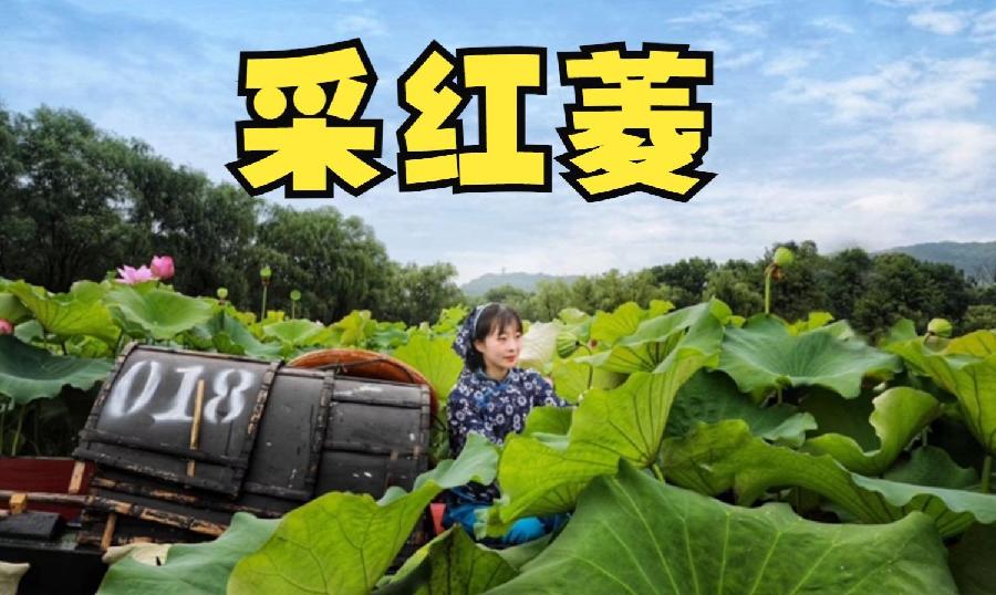临江仙-惯看清风浩月(组合)词||李振林(图12)
