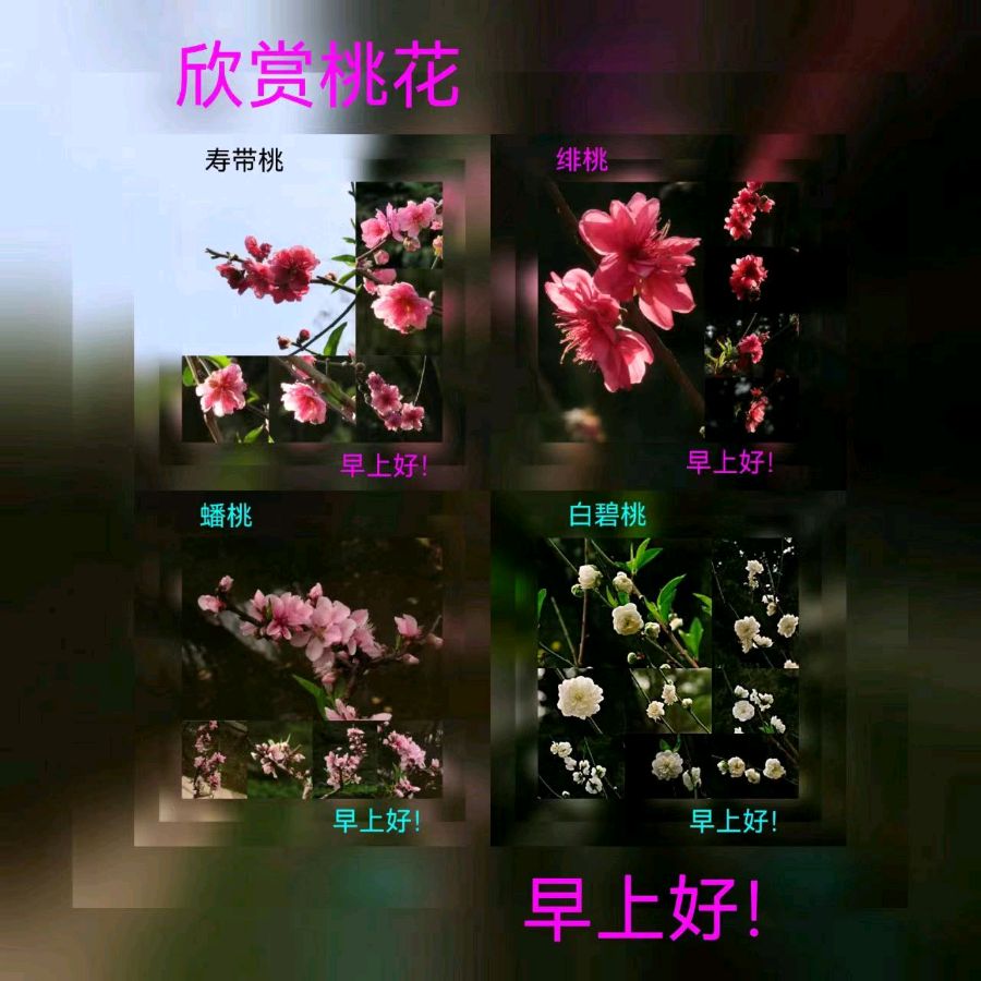 联机全球发布马洪武作品欣赏（图178）