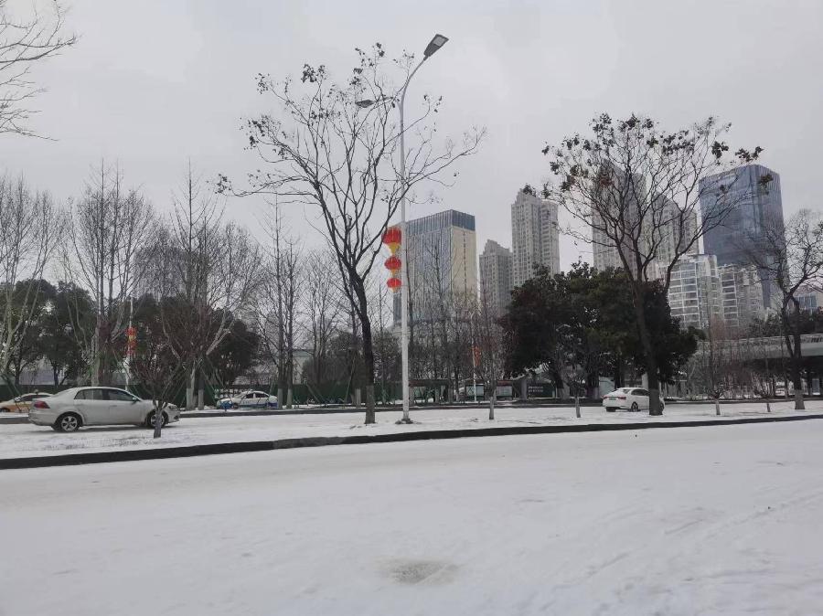 冰雨雪后的随感｜图／文 ｜蒋卫平（武汉）