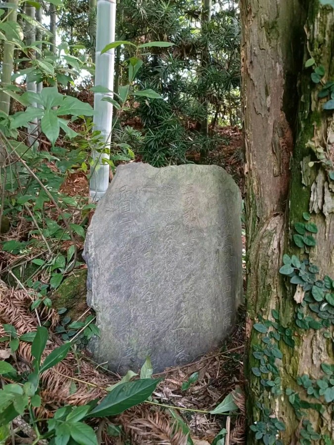 作者：甘道友／余凤英《奉新罗市“脑子山”发现1940年抗日老兵墓》8843期～新京都文艺（图3）