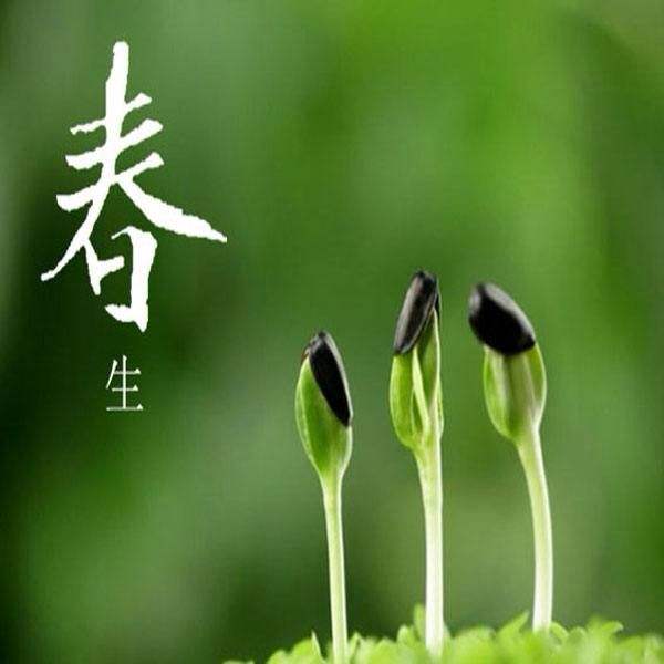 《九江文学社：北京头条》《名家精品文学》优秀诗人杨学是先生诗歌欣赏《问春》【总第2006期】（图3）