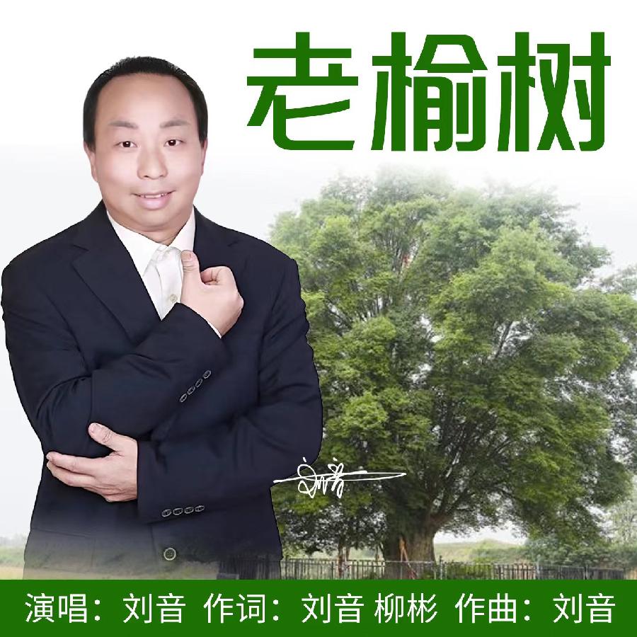 老榆树专辑