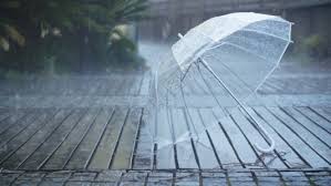 雨（图3）