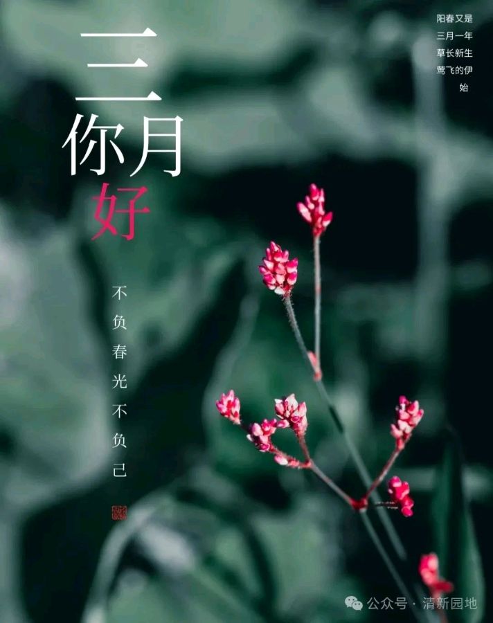 藏头诗:三月你好 文/王俊杰(天津)（图3）