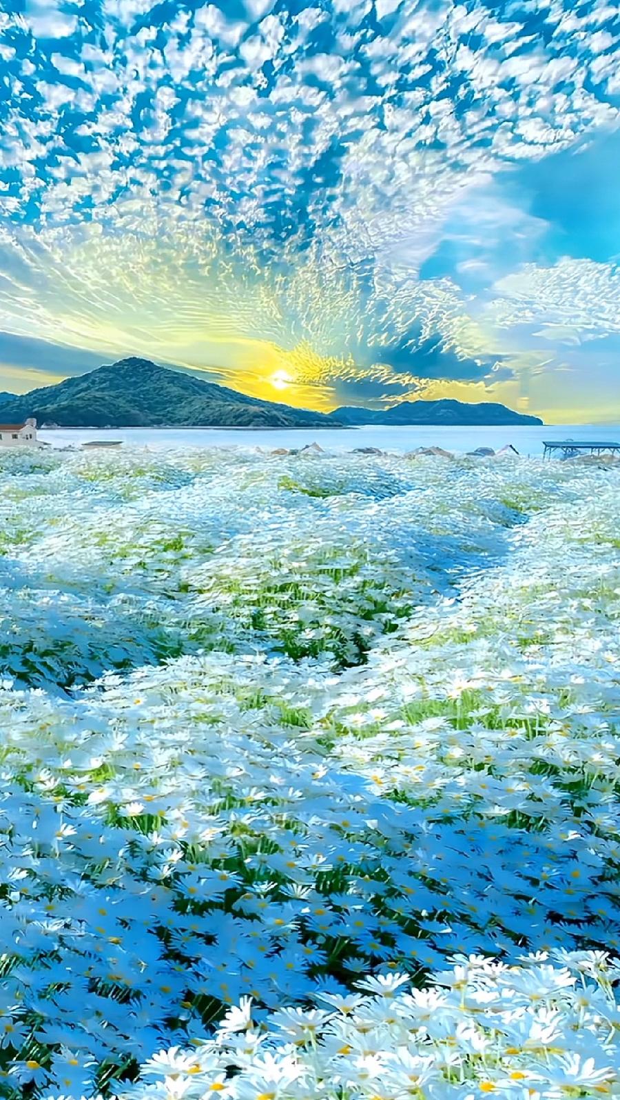 春的萌动(组合)文||李振林(图15)