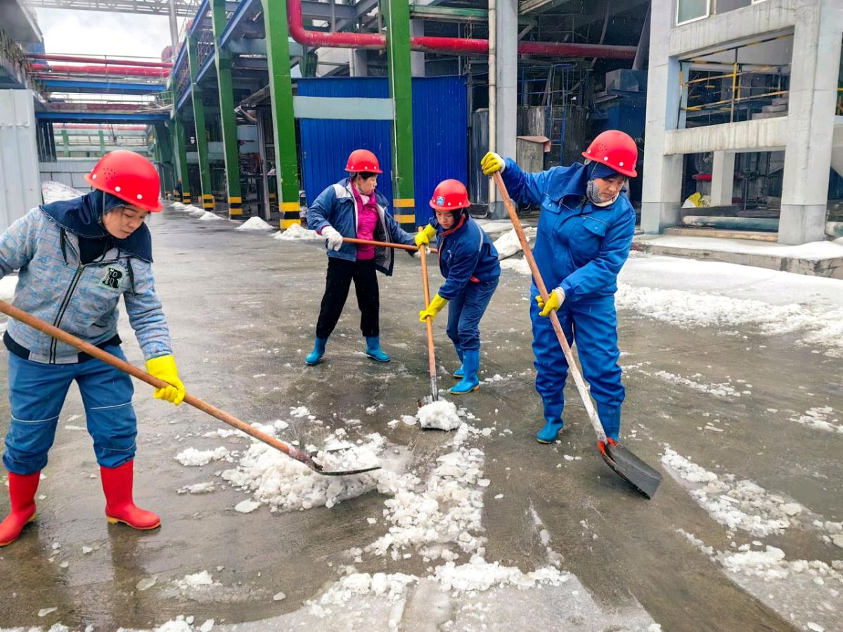 巾帼奋斗之光照亮祥云伟业新征程（图7）