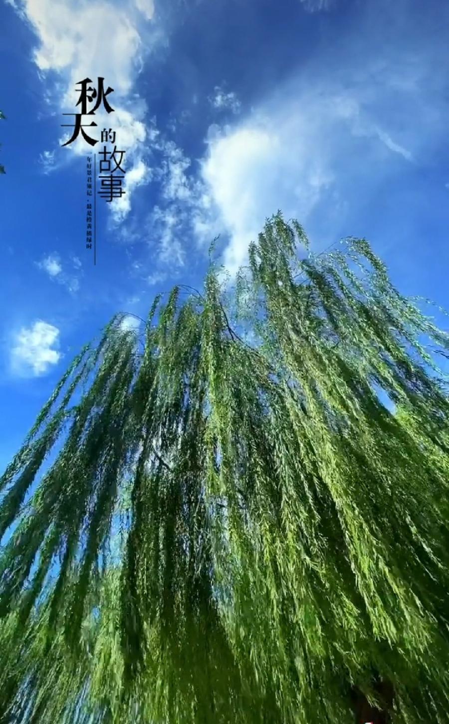 秋情奔放（组合）诗||一农（图8）