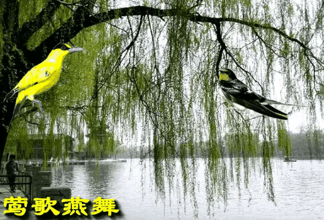 【重磅推出春韵抒怀】鲁坡//老骥追风向天谏[欣赏]（图7）