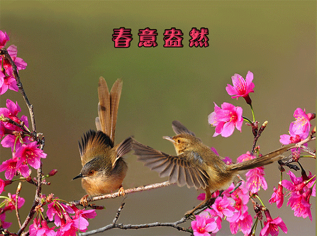 【重磅推出春韵抒怀】鲁坡//老骥追风向天谏[欣赏]（图9）