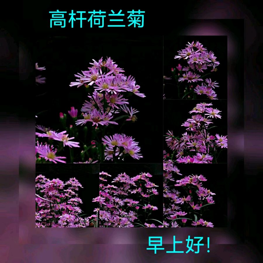 联机全球发布马洪武作品欣赏（图176）