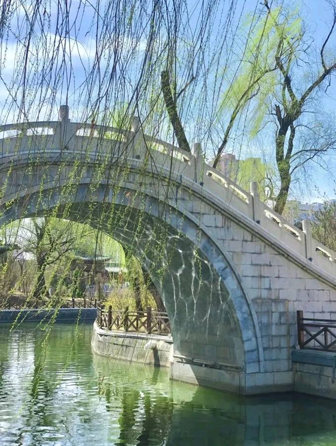 国风社甘肃分社半月刊第55期—北京头条(图13)