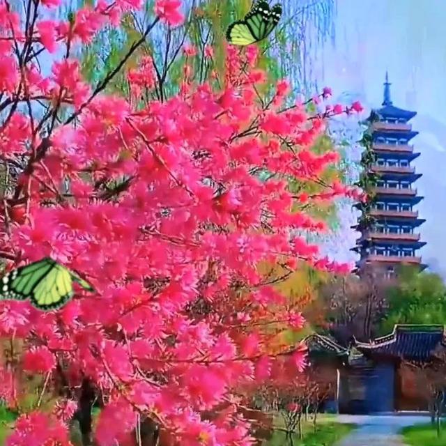 七律·春诗（文/韩满林）……莲叶之珠文学社