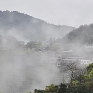甲辰雨春（文/许碧霞）……莲叶之珠文学社