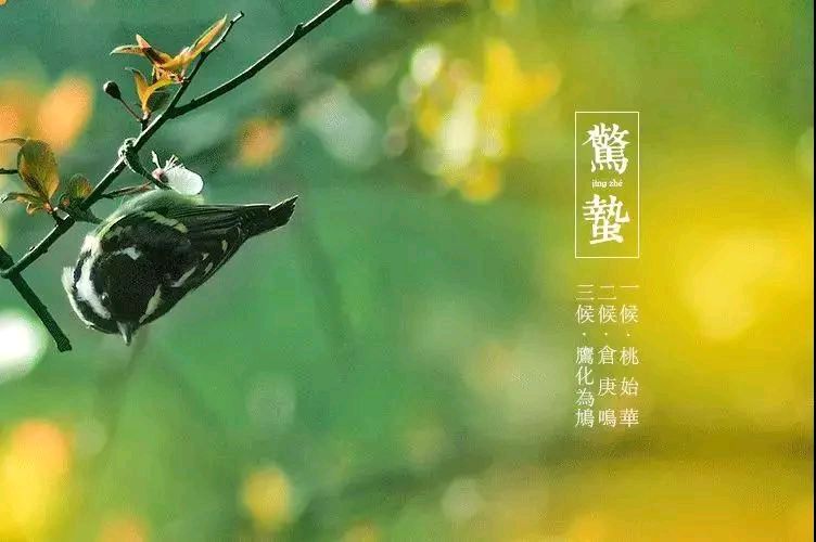 惊蛰试笔金夜（兰州）（图3）