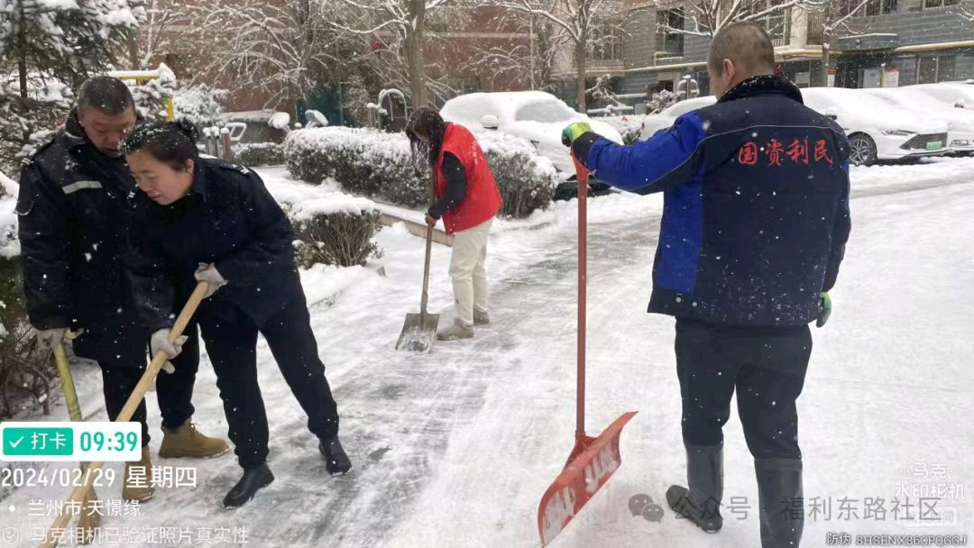 清平乐*社区党员及志愿者除雪清道感吟 金夜（兰州）（图4）