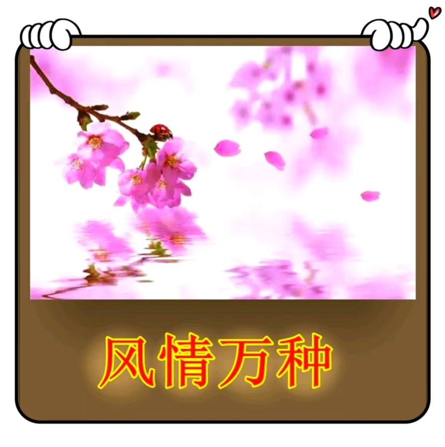 柔情万种-文/李铁民-西银/北京头条（图2）