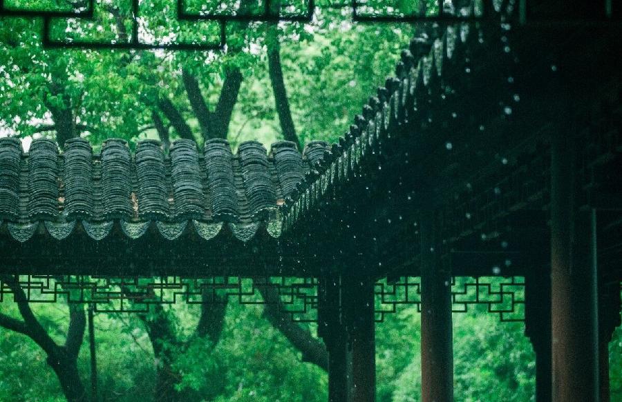 忆王孙-熏风染绿青丝柳（组合）词||李掁林（图14）