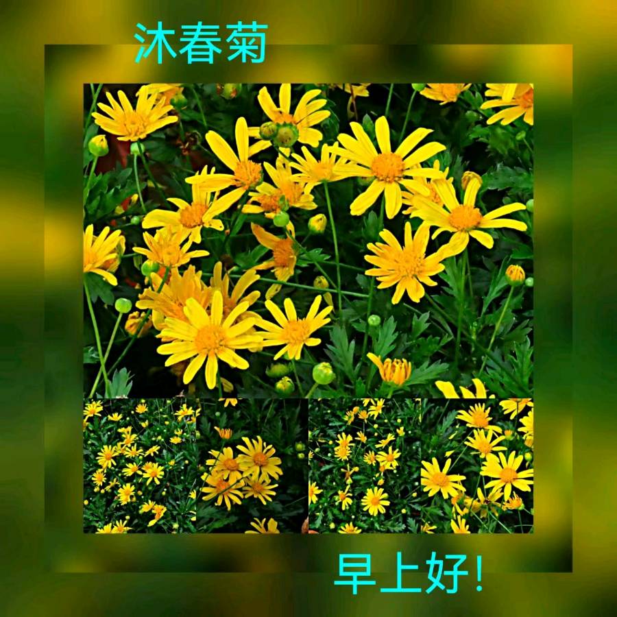 联机全球发布马洪武作品欣赏（图174）