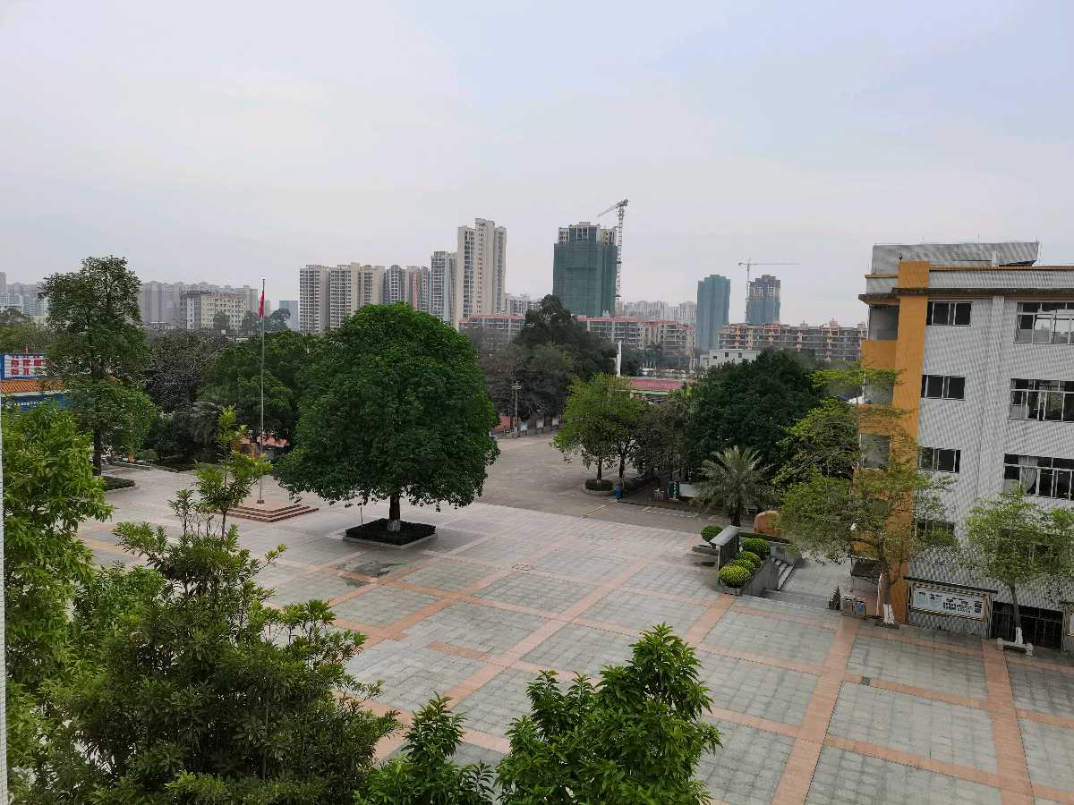 【精散文】周日早晨，校园里风景别样（图3）