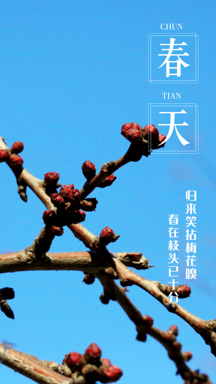 七绝-早春得句～诗||马文智（图16）