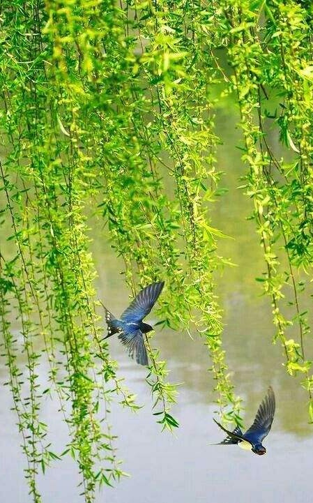 七绝-早春得句～诗||马文智（图15）