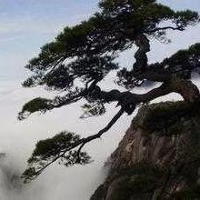 春天来了(图3)