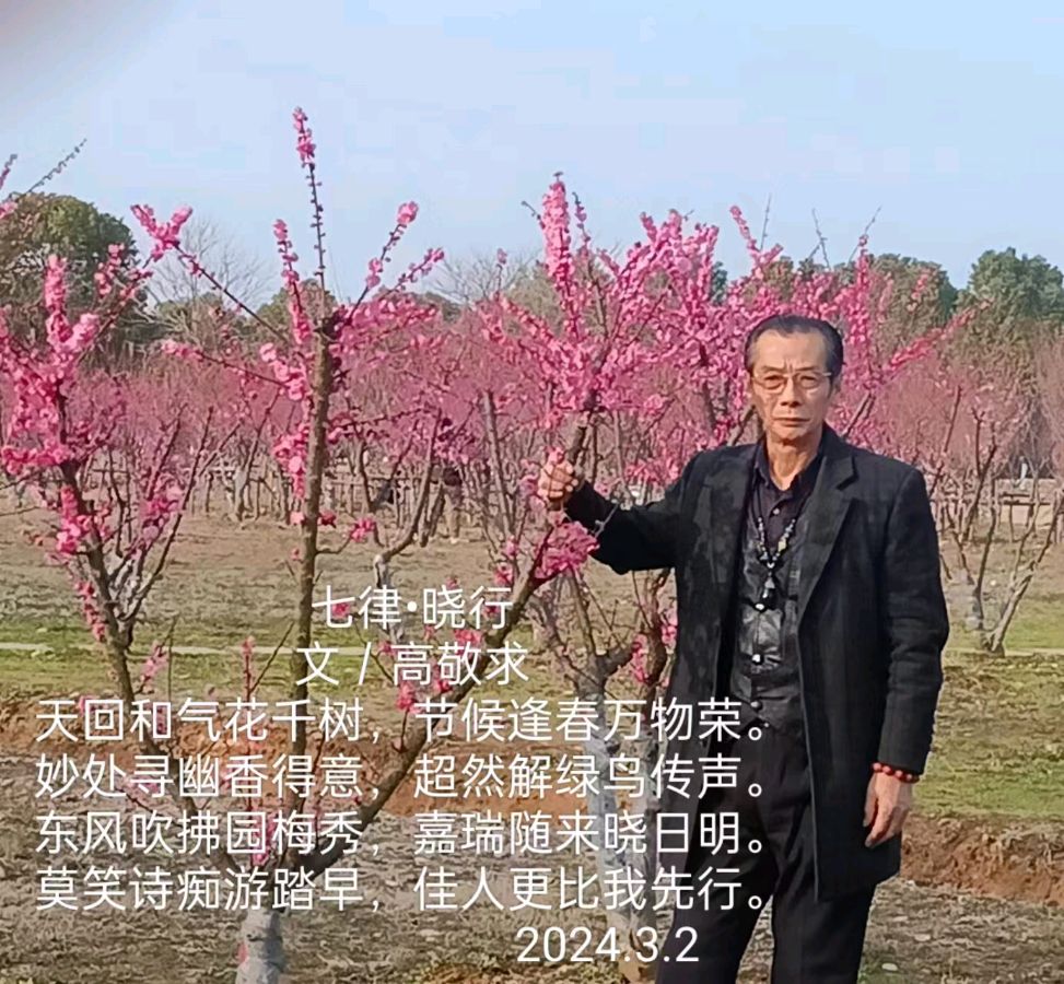 满江红•安庆今春文／高敬求（图3）