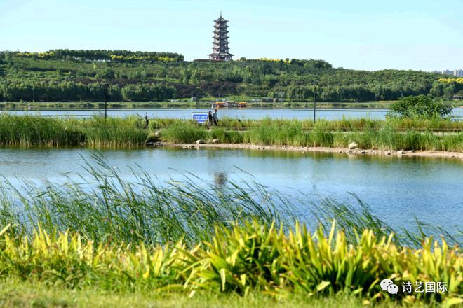 滹沱河抒怀 文/海湾（图4）