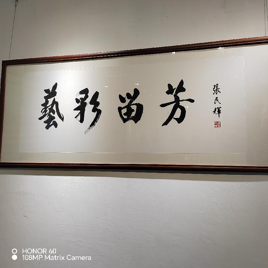 艺彩留影 飞龙兴盛(图3)