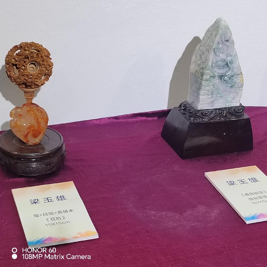 艺彩留影 飞龙兴盛(图8)