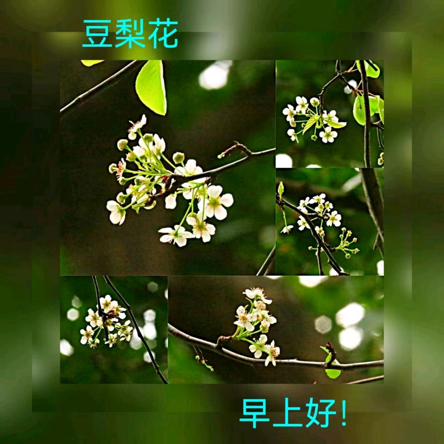 联机全球发布马洪武作品欣赏（图172）