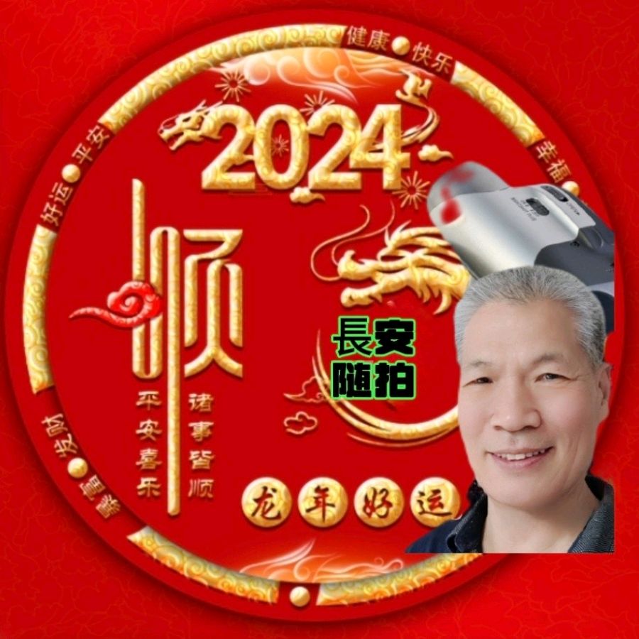 🎥【🇨🇳战友相聚】（第12集）（图6）