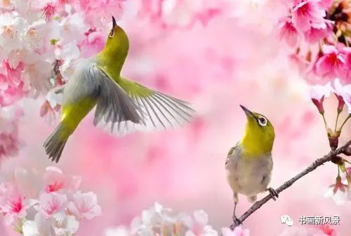 荐赏:金墨老师现代九行诗韵//《思归客文苑》征稿//都市头条(图4)