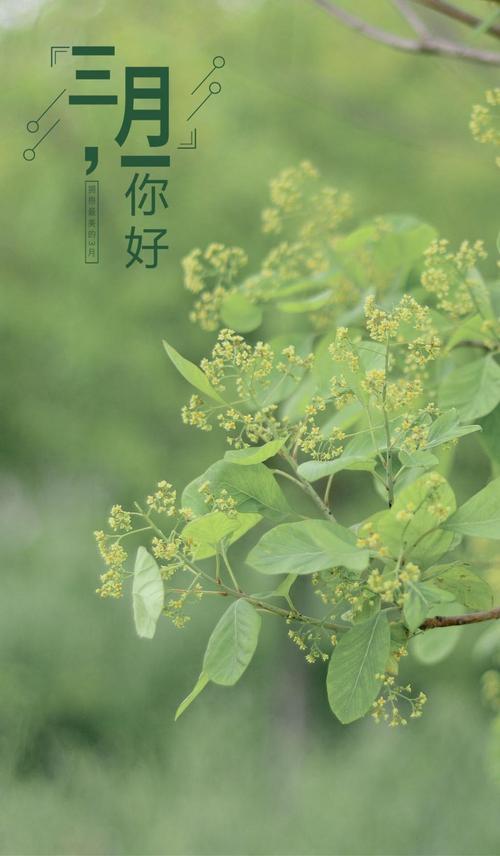 三月的早晨（组合）诗||一农（图8）