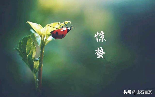 敬请欣赏刘锁海老师绝·律·词八首（图3）