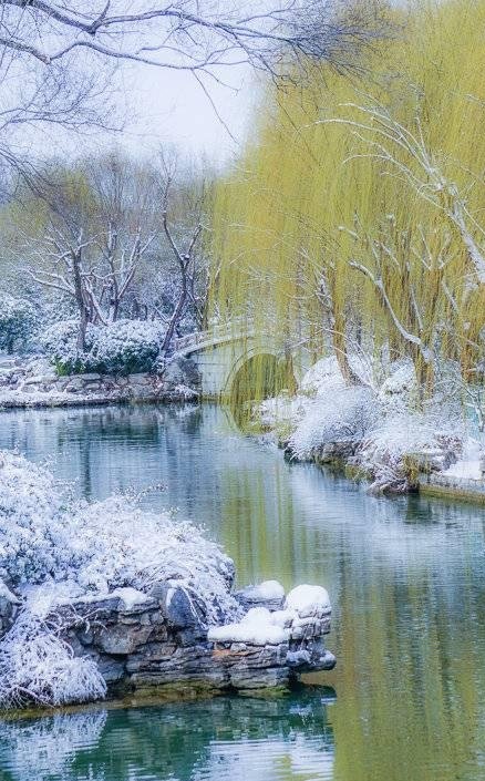 五律-春雪～诗||王政（图8）