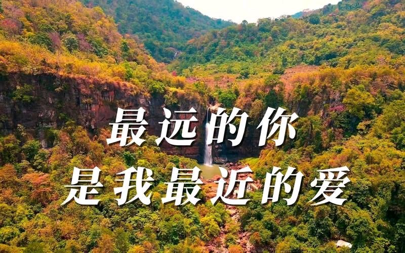 【重磅推出情笃长相忆】鲁坡//为爱牵手（图5）