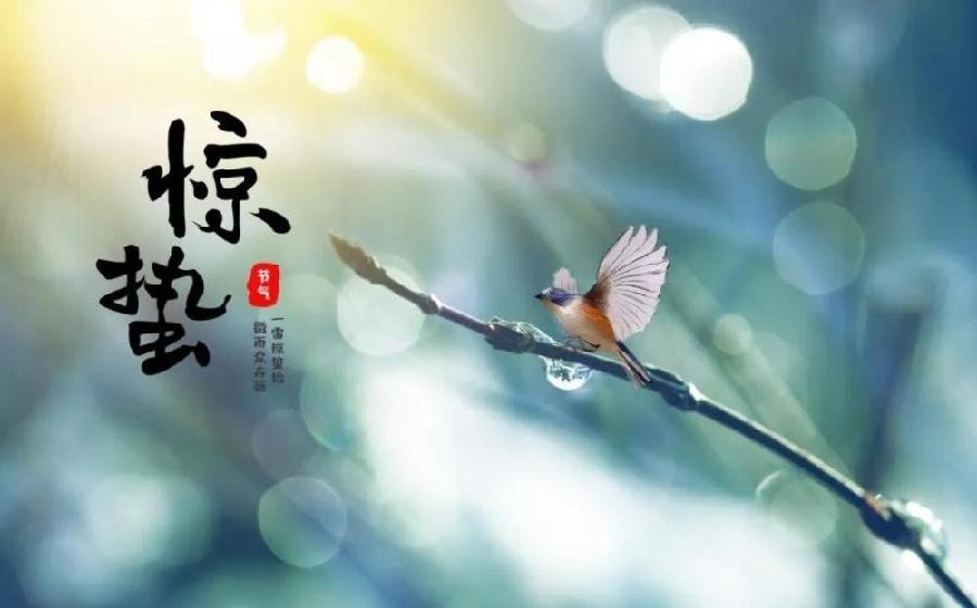 五律-惊蛰(组合)诗||于兴庆(图16)