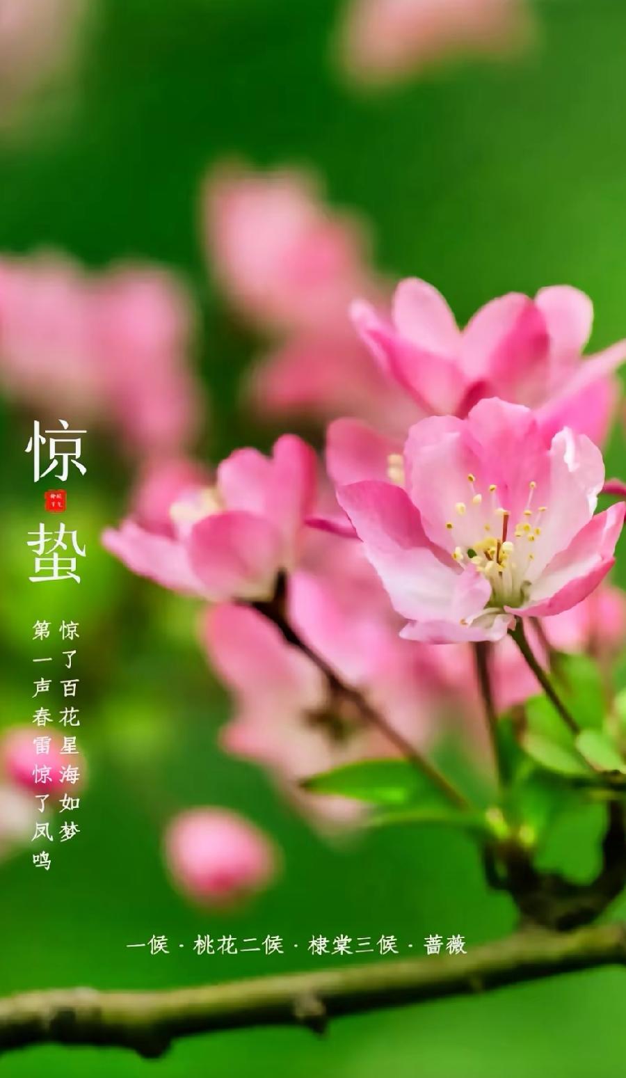 七绝-甲辰惊蛰吟怀～诗||胡斌（桃花园君）（图8）