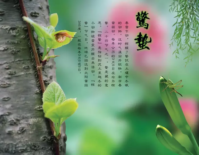 ［诗词吟惊蛰］（作者：许碧霞/张华兴/冯清明）……莲叶之珠文学社（图6）