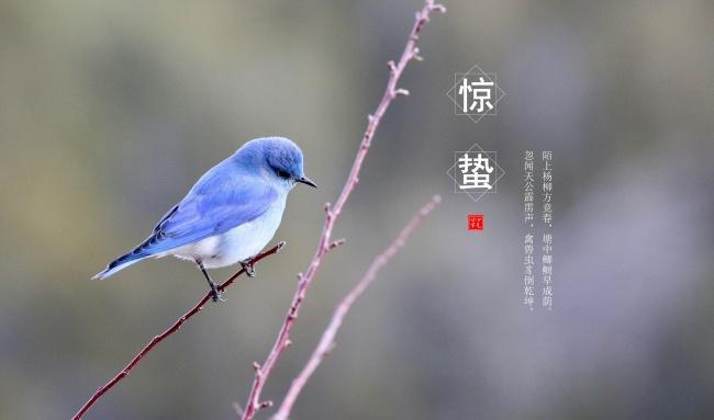 【专题推荐】廖万友老师//今日惊蛰[三首]（图4）