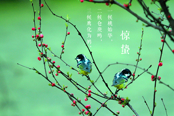 【专题推荐】廖万友老师//今日惊蛰[三首]（图6）