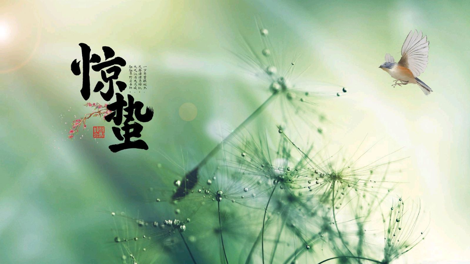 《惊蛰是一种醒悟》作者/黄金鑫 诵读/冬日艳阳 编辑制作/雨杉【花雨馨声】地579期（图5）
