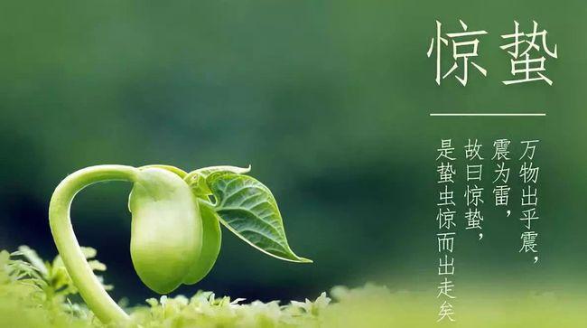 荐赏：《春之赋》作家诗人周镇添-中华诗经阁编委兼荣誉顾问（图4）