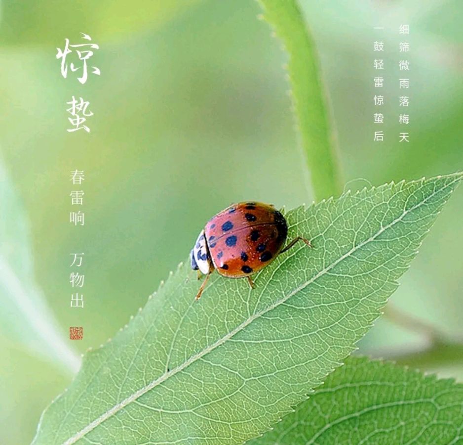 《七律.惊蛰》作者/肖朝光 诵读/金南 编辑制作/雨杉【花雨馨声】第580期（图3）
