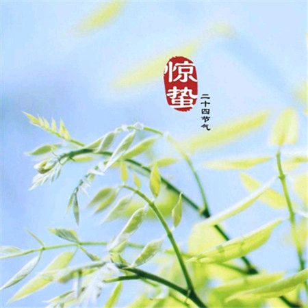 《九江文学社：北京头条》《惊蛰节气》专刊【总第2009期】（图18）